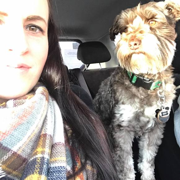 Meet your Posher, Joy - Picture 1 of 1